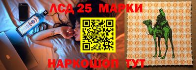 Альфа ПВП Гулькевичи