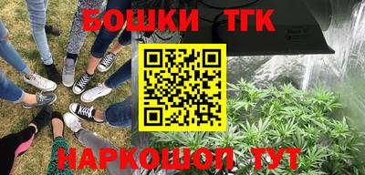 Альфа ПВП Гулькевичи