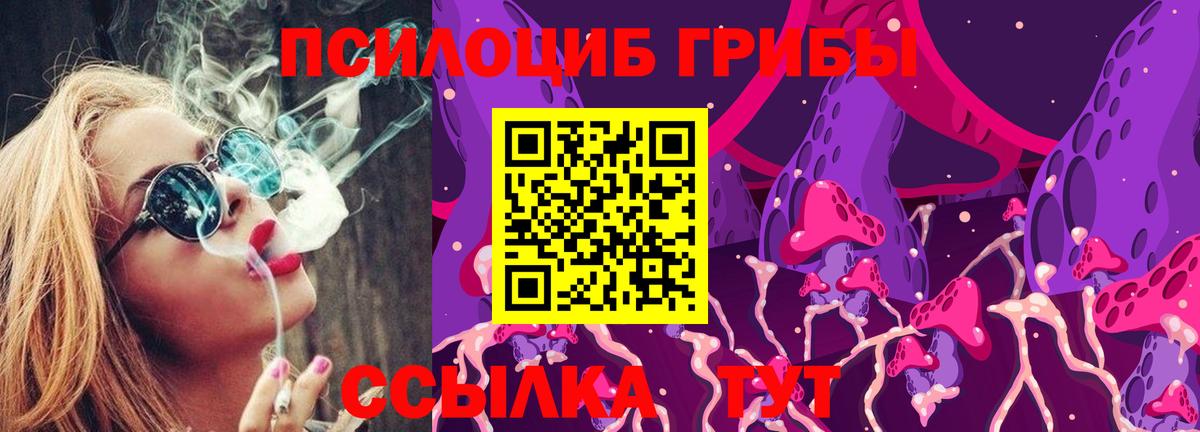 Псилоцибиновые грибы MAGIC MUSHROOMS  Вход с VPN  Аша 